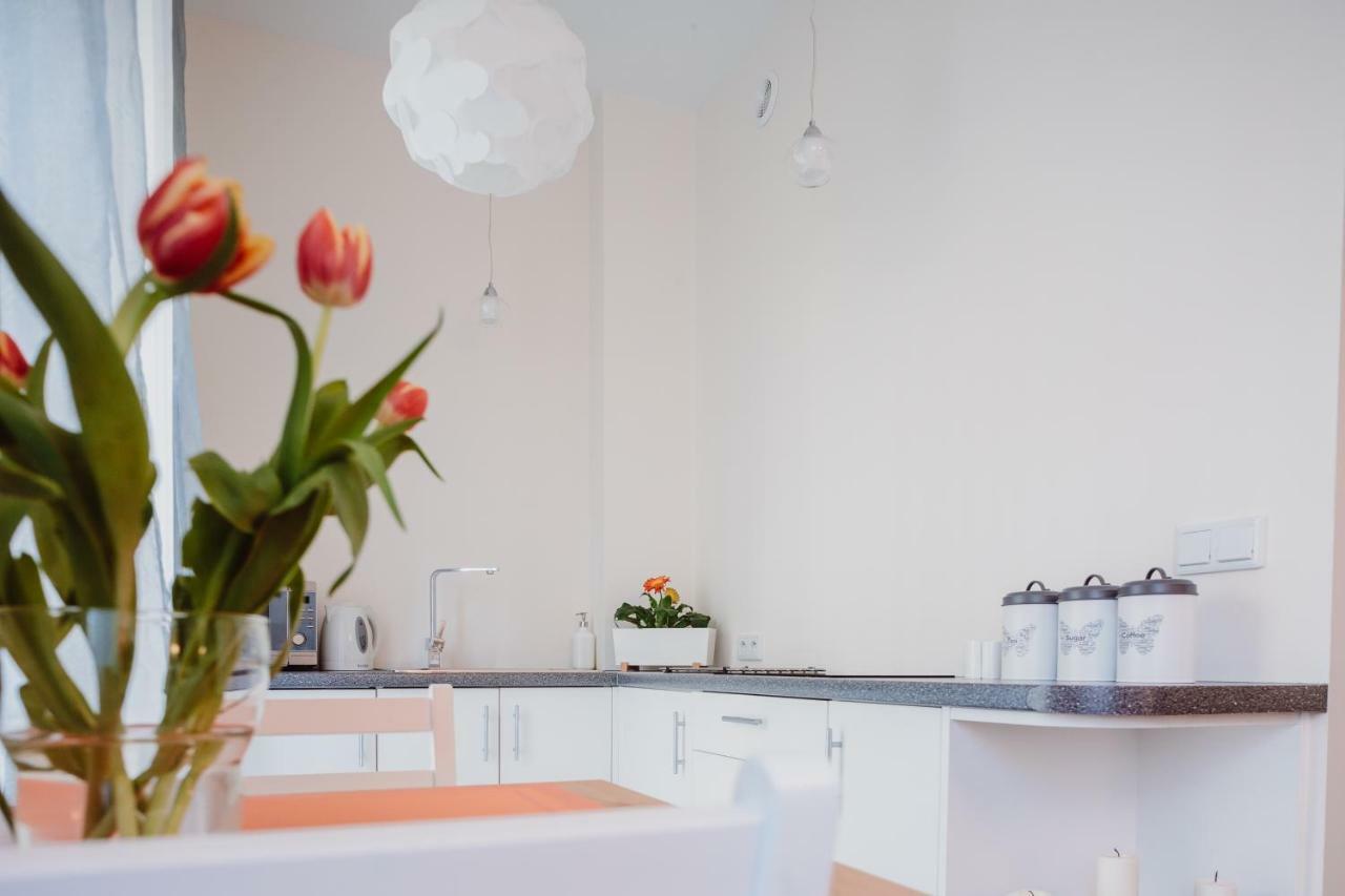 Garden Apartment คราคูฟ ภายนอก รูปภาพ